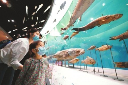游人在重庆自然博物馆参观。新华社发