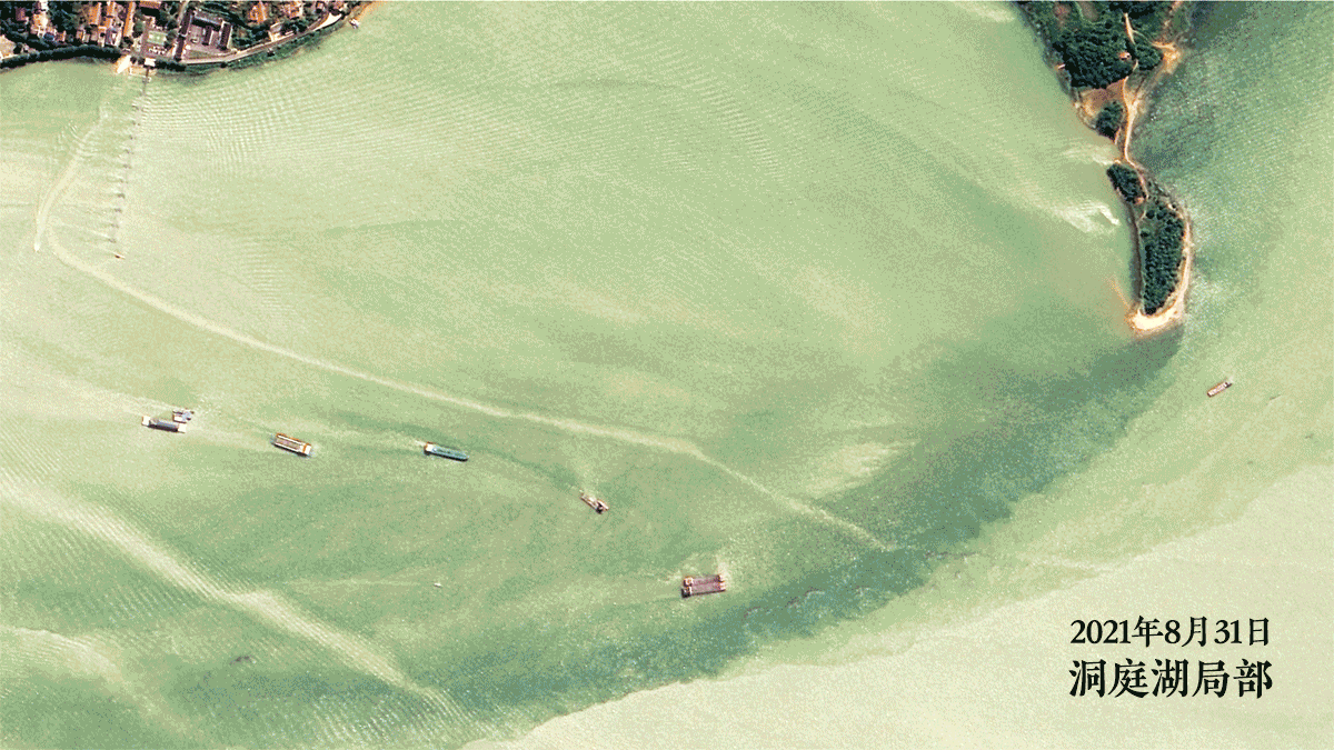 2021年8月31日与2022年8月6日拍摄的湖南岳阳扁山附近的洞庭湖局部卫星影像。