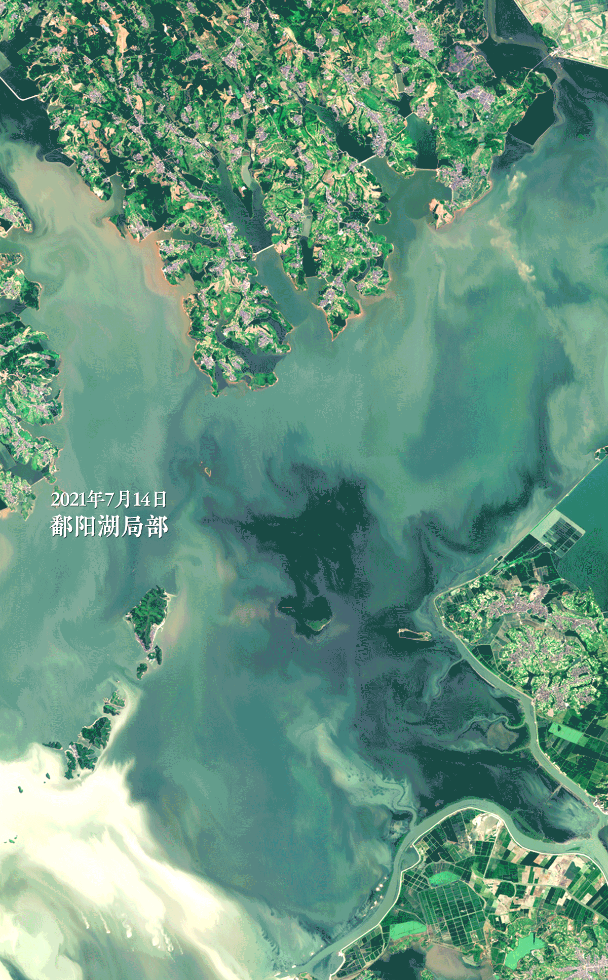  2021年7月14日和2022年8月8日拍摄的鄱阳湖梅树岭附近的卫星影像。
