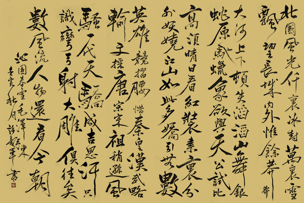《中国文化领路人》追寻大师踪影解读大师人生·许龙军(图16)
