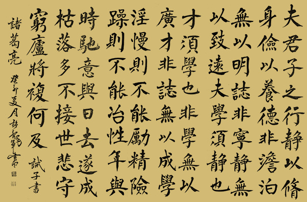 《中国文化领路人》追寻大师踪影解读大师人生·许龙军(图17)