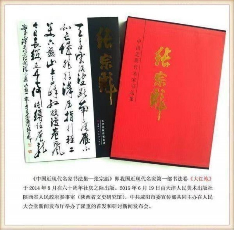 二十一世纪艺术名家推荐 收藏指南——张宗彪(图30)